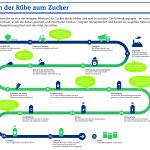 Infografik zur Zuckerproduktion - Details vom Feld zur Zuckerpackung