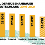 Grafik Anbauerentwicklung Zuckerrüben