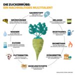 Zuckerrüber Produkte Beispiele