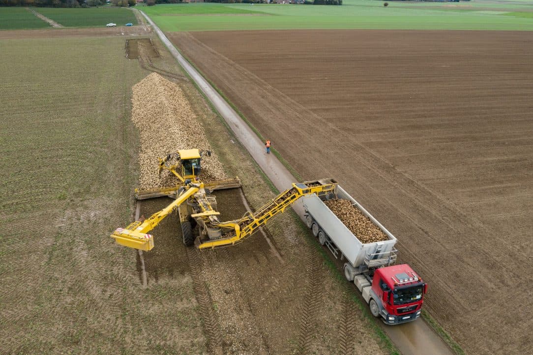 Zuckerrüben werden verladen