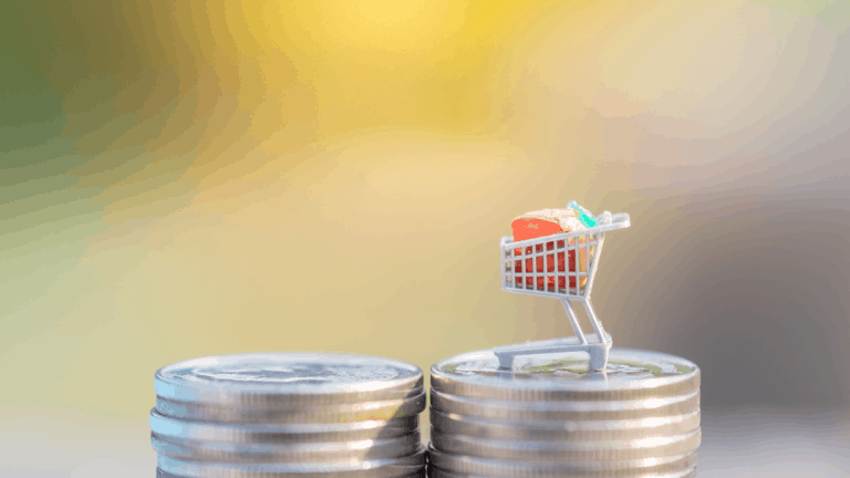 Einkaufswagen Steuer Geld