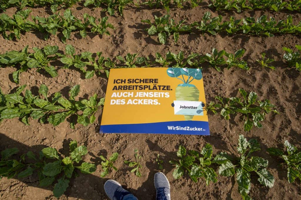 Aktionstag Zukunft Zuckerrübe Zuckerverbände