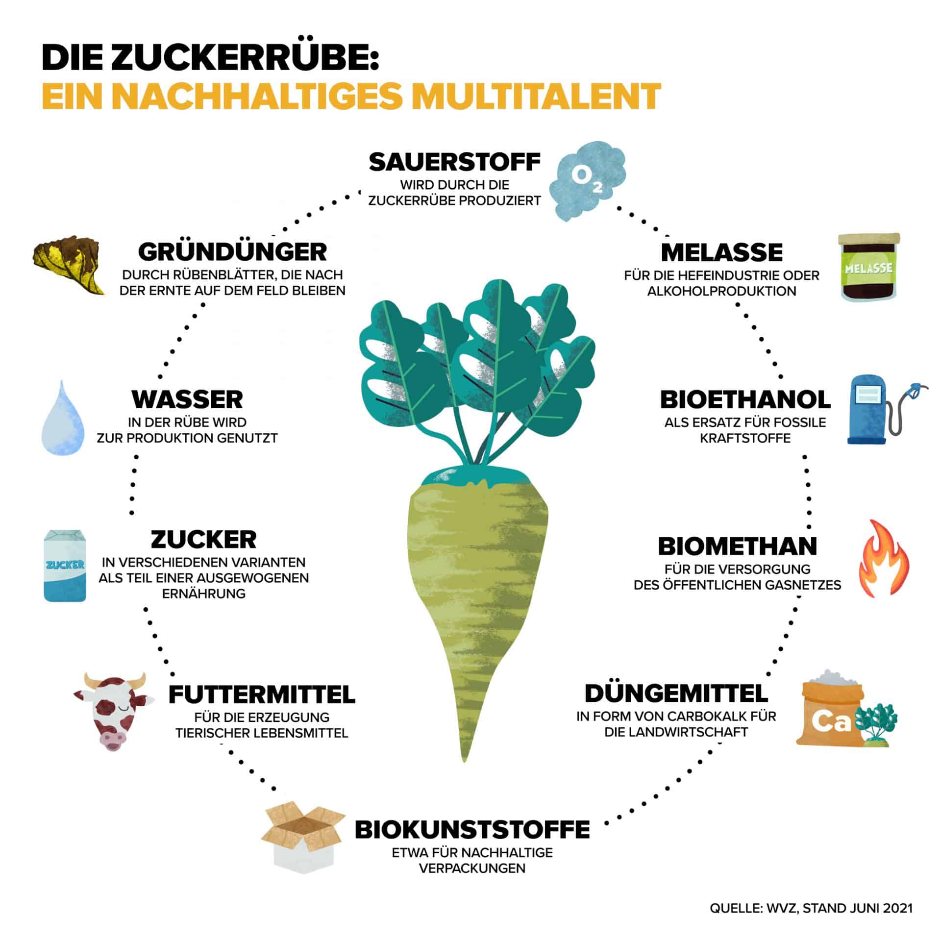 Produkte aus der Zuckerrübe Zuckerverbände