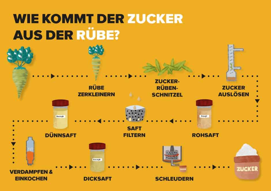 Zuckerproduktion Schaubild Grafik