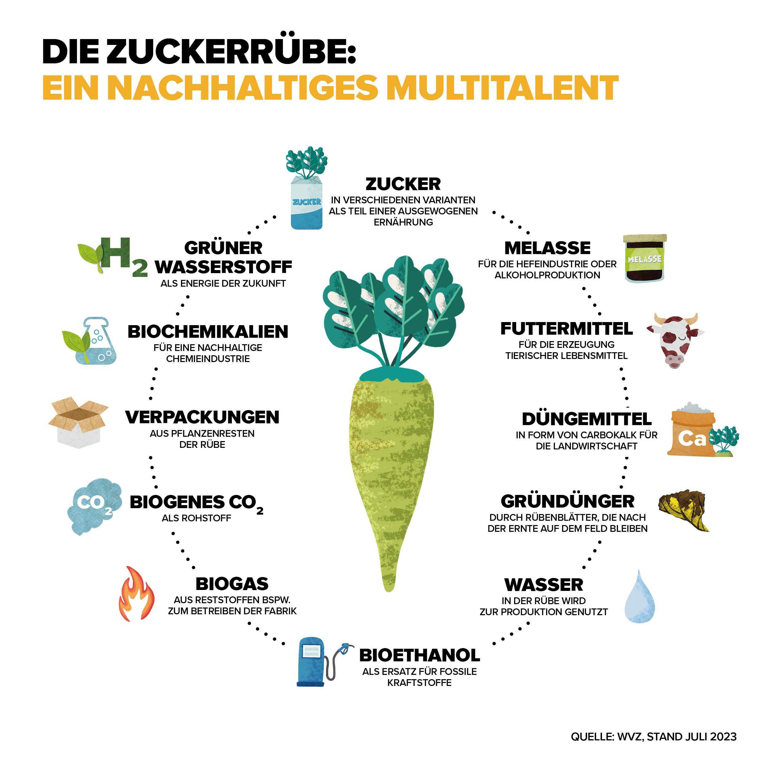 Verarbeitung der Zuckerrübe | Zuckerverbände